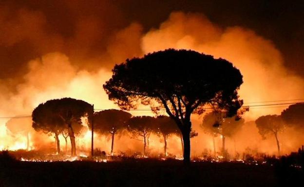 Fire Doñana