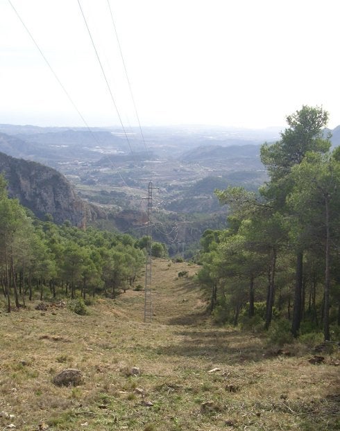Cortafuegos abierto y saneado.