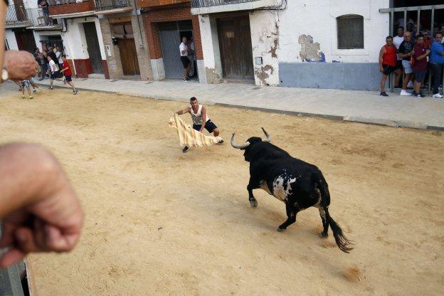 Un aficionado realiza un quiebro a un toro durante un festejo de los bous al carrer.