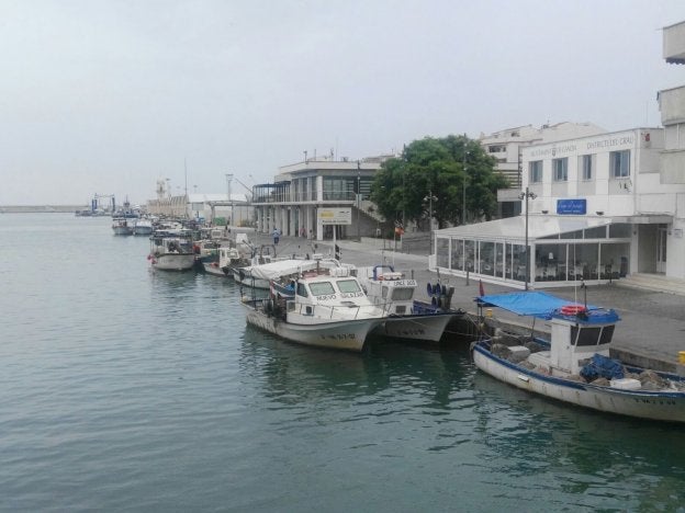 Embarcaciones de artes menores, atracadas en el puerto del Grau de Gandia.