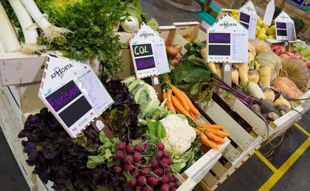 La huerta es protagonista en Expojove. /LP