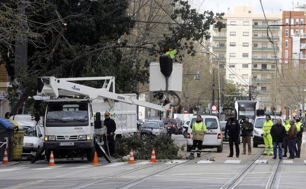 Restablecida la circulación del tranvía en Valencia tras caer un árbol por el viento
