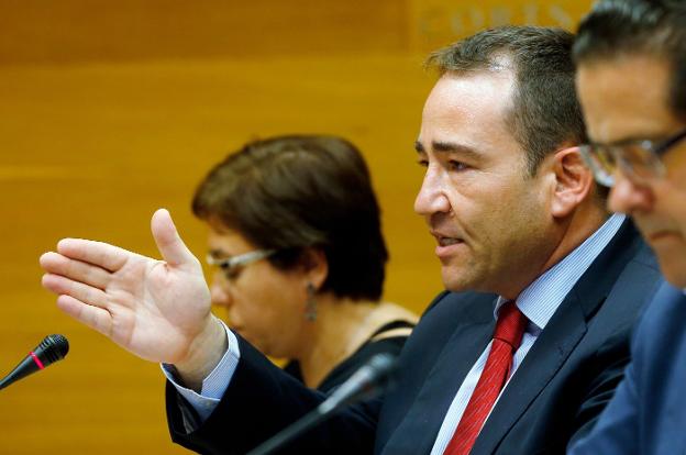 Manuel Illueca, presidente de la SGR y director general del IVF. / EFE