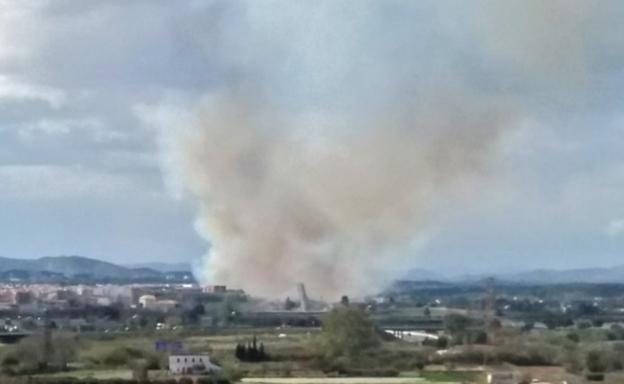 Columna de humo causada por el incendio en el cañar del parque del Turia, en el término de Manises./Cova Morales