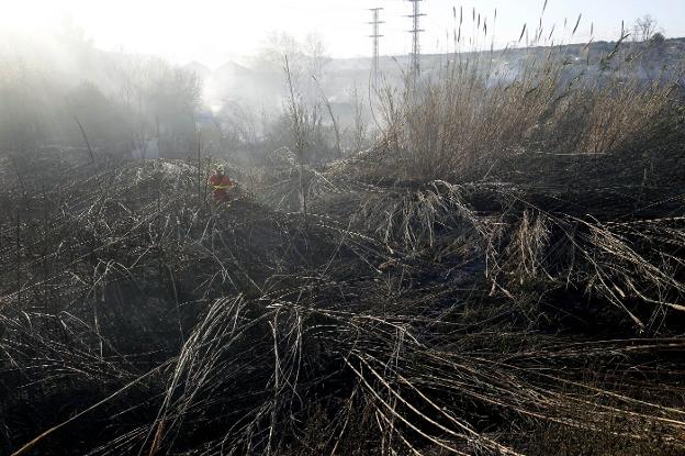 Un bombero, entre cañas, durante la extinción del fuego. / marsilla