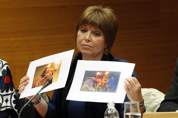 Empar Marco mostró ayer imágenes de bous embolats, que afirmó que son ejemplos de maltrato animal. / irene marsilla