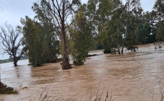 Inundaciones en l'Alcúdia por desbordamiento del desfiladero de Matamoros.
