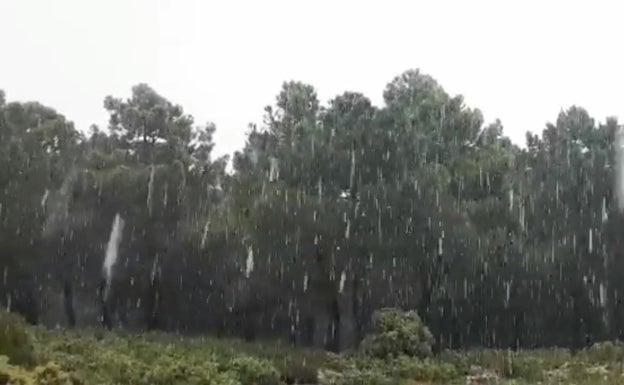 Nevada este miércoles en la Sierra de la Serrella en Alicante.