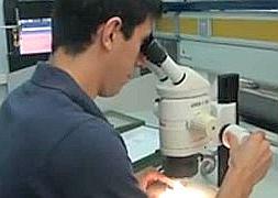 La malaria y el dengue reaparecen en España