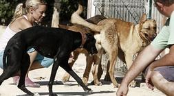 España, el país más animal