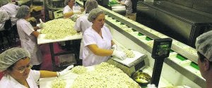 Empleadas de una fábrica turronera de Jijona trabajan en la elaboración del dulce en la cadena de producción. ::
ALEX DOMÍNGUEZ/