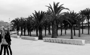 La playa del Arenal de Xàbia cuenta con decenas de nuevas palmeras. ::
JOSÉ IGLESIAS/