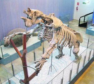 Megatherium americanum. Coetáneo del ser humano, el megaterio, mamífero de gran talla perteneciente al Cuaternario, tenía el cuerpo cubierto de pelo. ::
VRS/