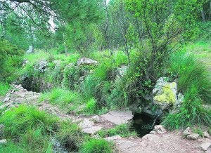 La Font de la Sangonera está inmersa en un paraje con gran vegetación y agua. ::
Ò.M./