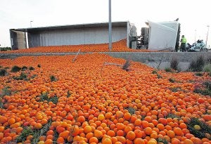 El camión volcado con las naranjas esparcidas. ::
FRANCISCO GARCÍA/