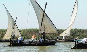 Varias embarcaciones durante una exhibición de vela latina en la Albufera. Juanjo Monzó/