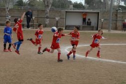 Más de 300 niños, en el Torneo Biensa CF.