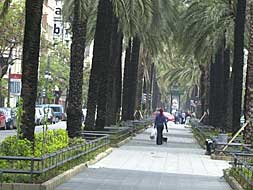 Paseo central de la avenida del Antiguo Reino de Valencia./