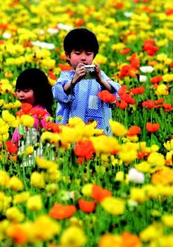 Dos niños jugando en un campo de amapolas./