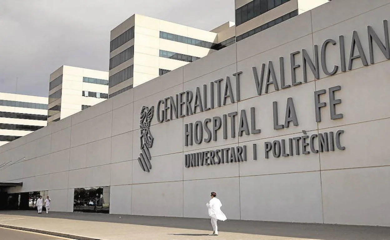 Mejores Hospitales Valencianos El Hospital La Fe De Valencia Se