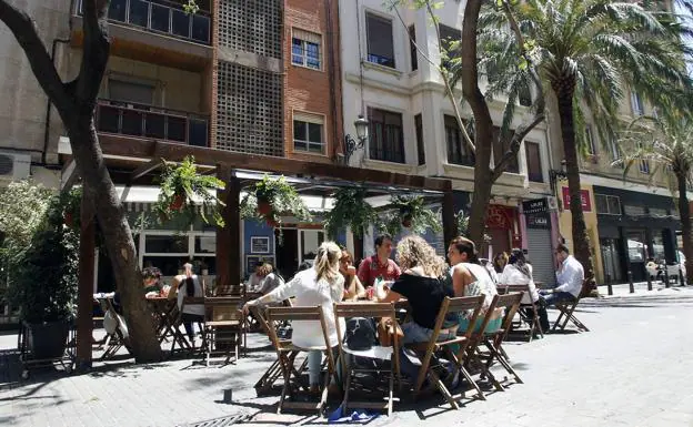 Plaza Del Cedro Valencia Como Llegar