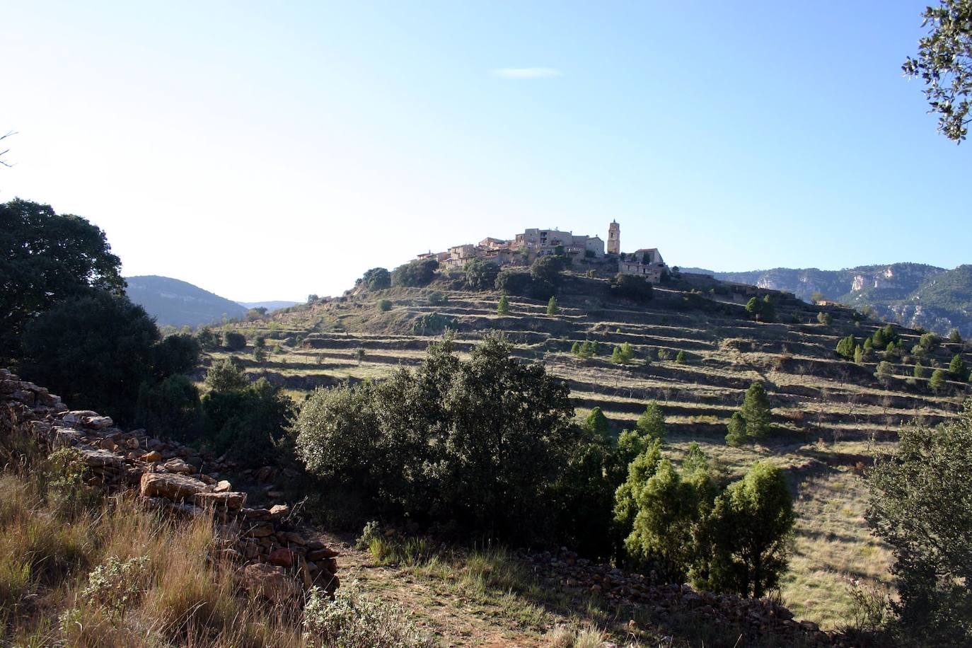 ¿La reina de las cenizas?