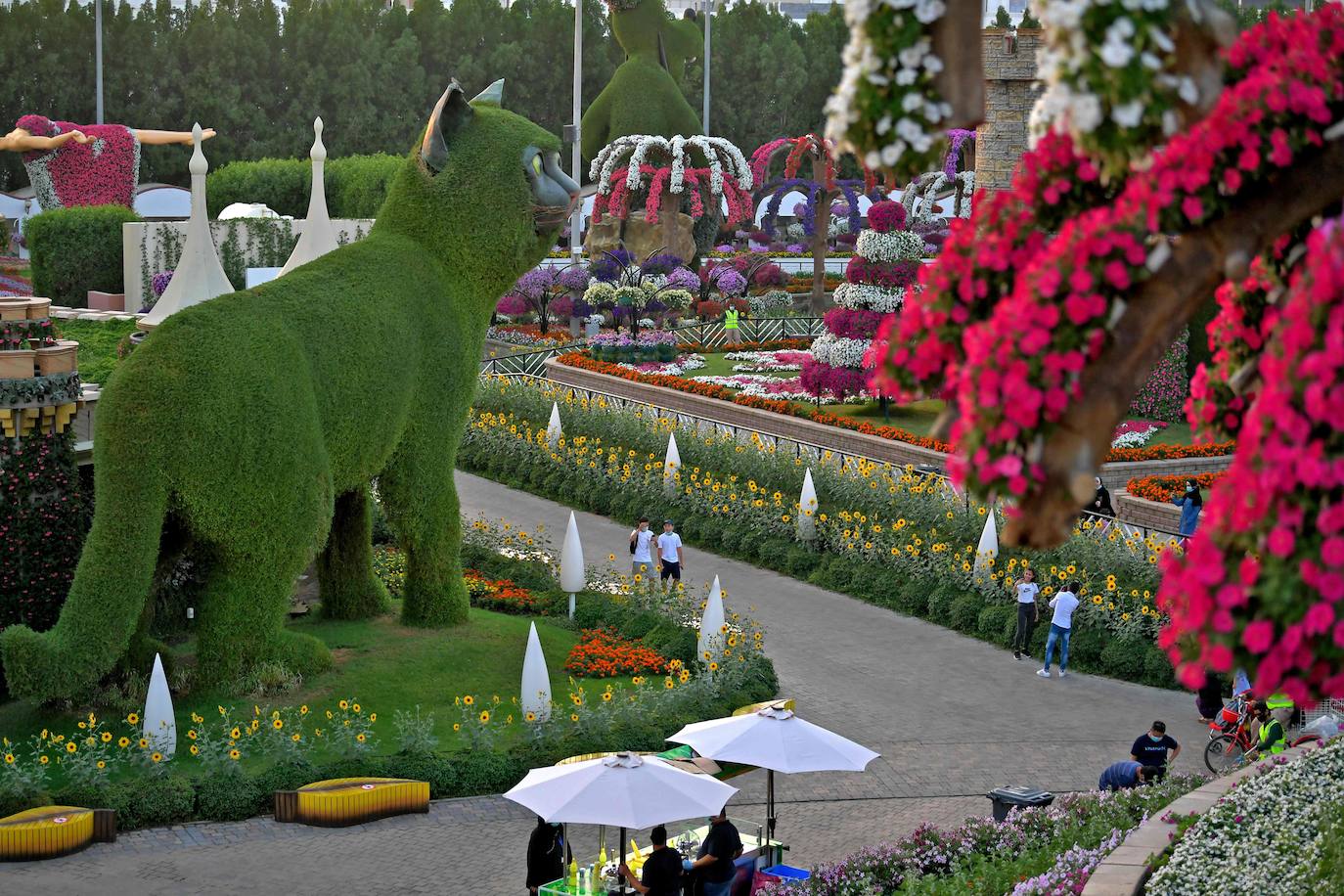 Fotos: Dubai Miracle Garden, el jardín más grande del mundo | Las