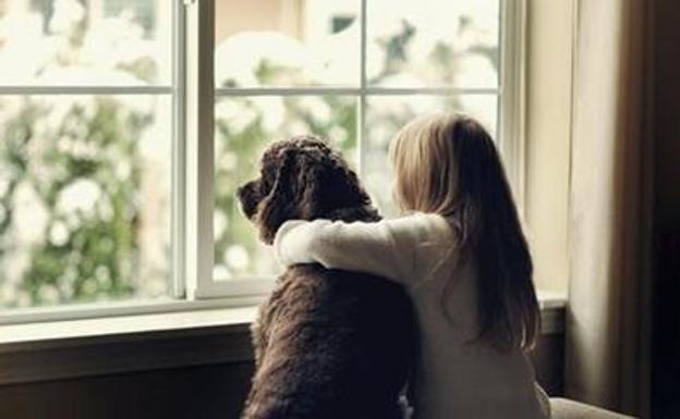 Una niña mira por la ventana con su mascota./E.C.