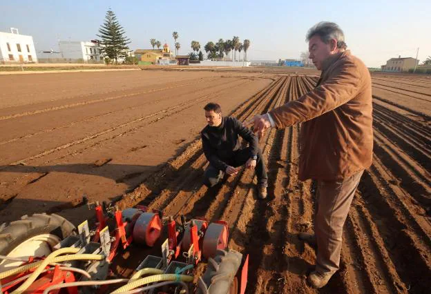 Agricultores en la huerta de Valencia, preparando una siembra. Tx. r./