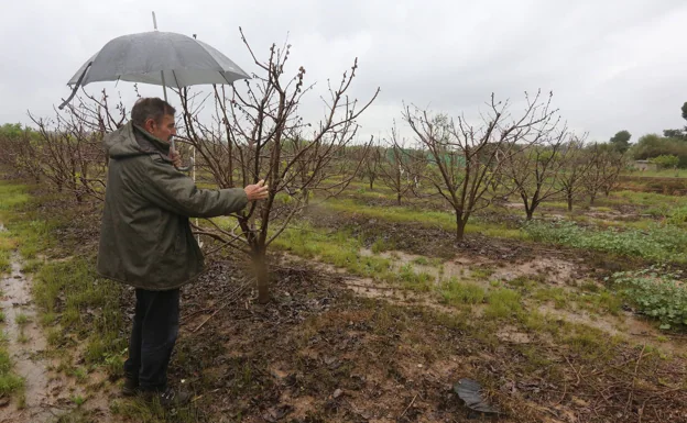 Pablo Boullosa, en uno de sus campos este martes. 