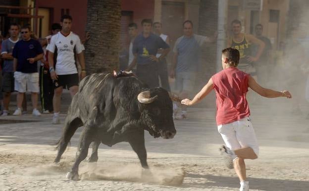 Muere una turista francesa tras ser atropellada por un toro en Pedreguer