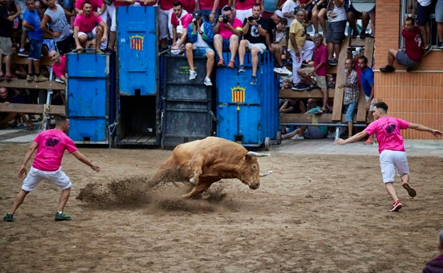 Bous prevé un número récord de celebraciones en los próximos años tras el Decreto de Protección de Seguros