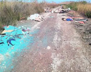 calina hacer clic lobo La Guardia Civil investiga vertidos «contaminantes» de pintura en el Marjal  de Oliva | Las Provincias