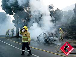Los bomberos sofocan el incendio junto a la carretera./